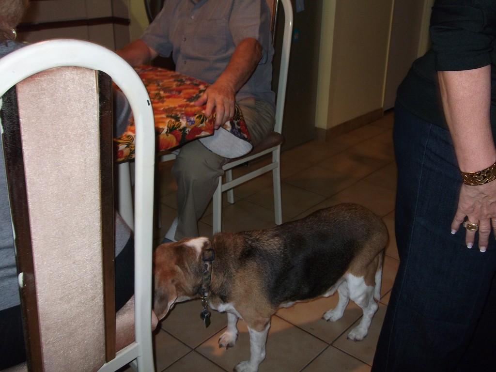 thanksgiving 039