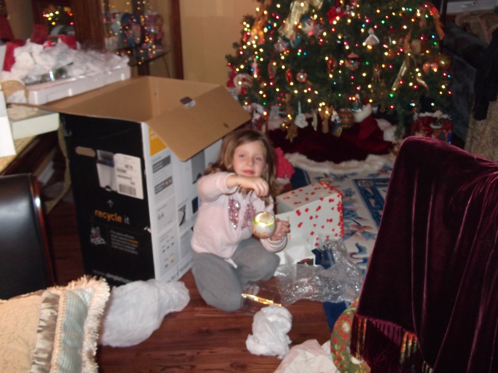 christmas 028