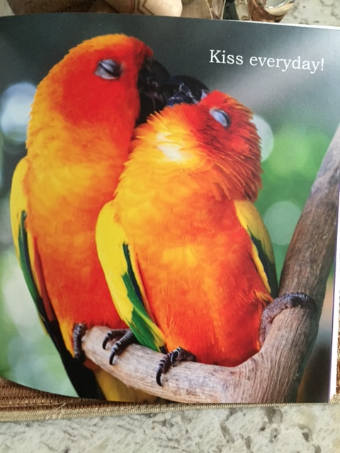 292970_4452427069670_1245472455_n