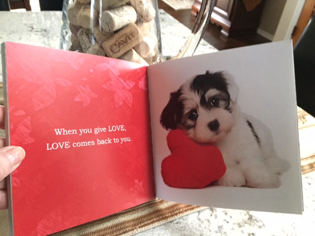 396621_4127365859840_954332435_n