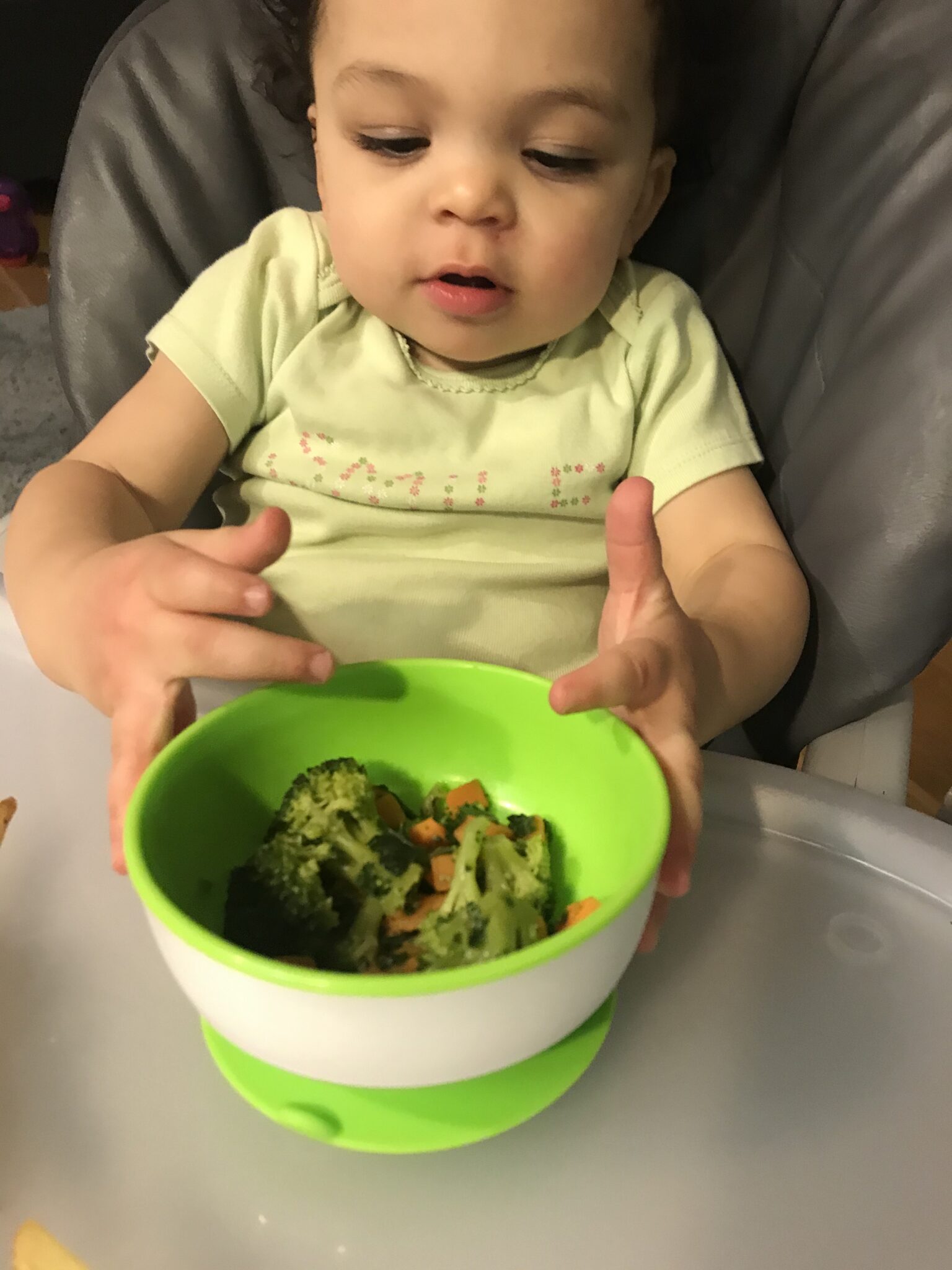 FoodieKid Simple Starters Organic Baby Meals
