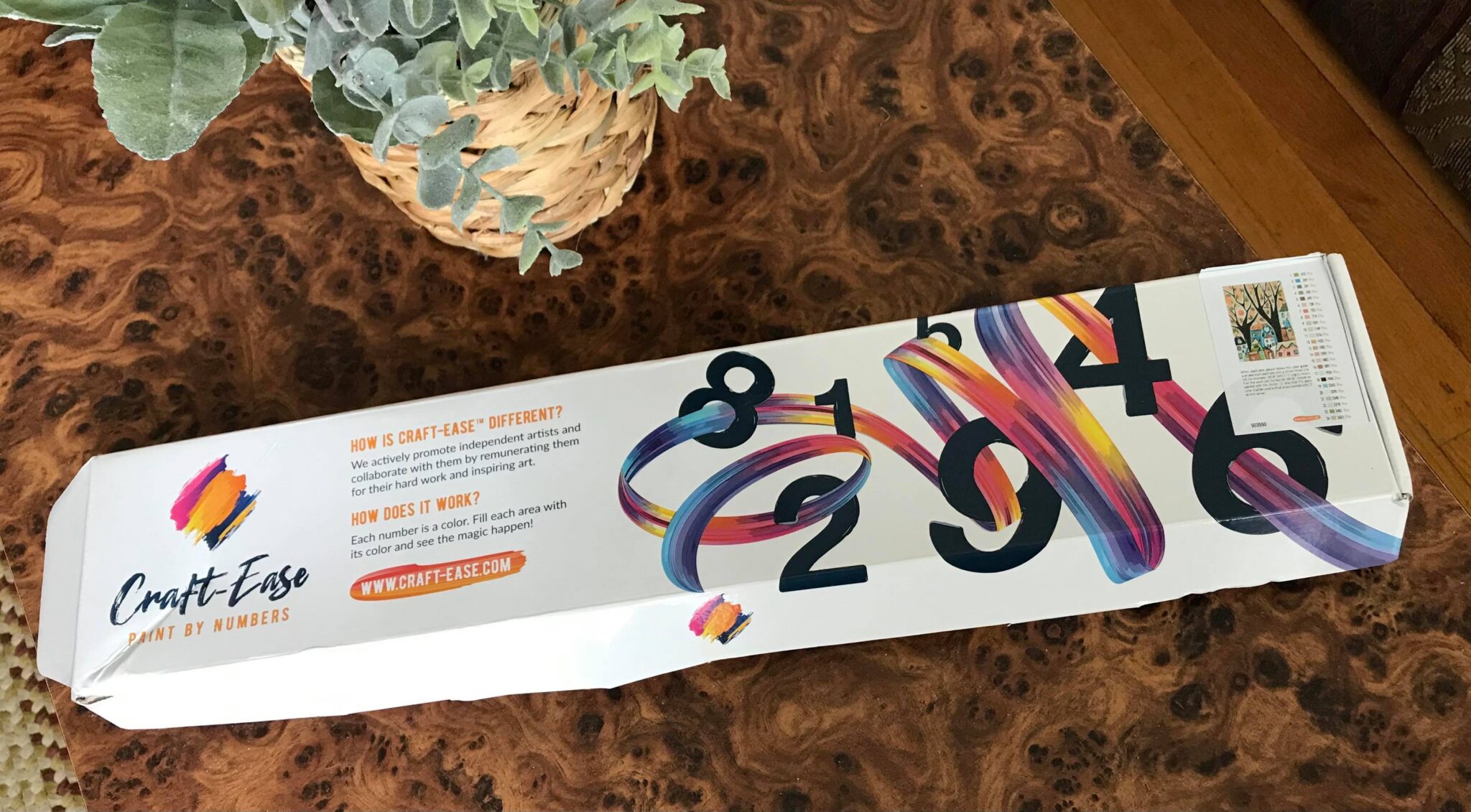 CraftEase Paint By Numbers